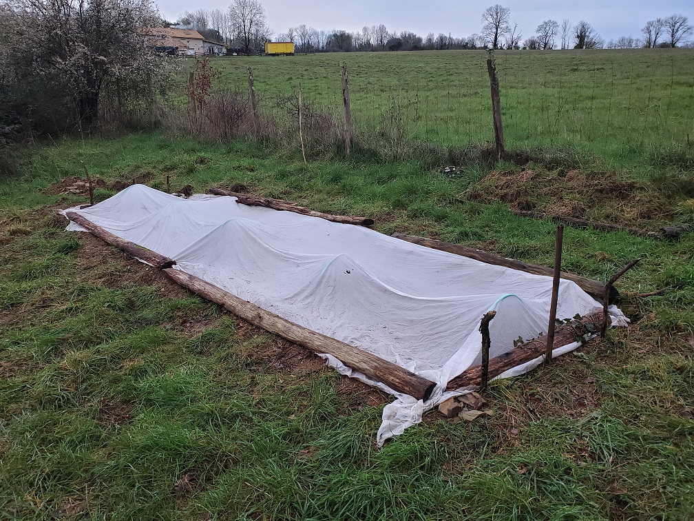 Potager en habitat partagé : Premières plantations