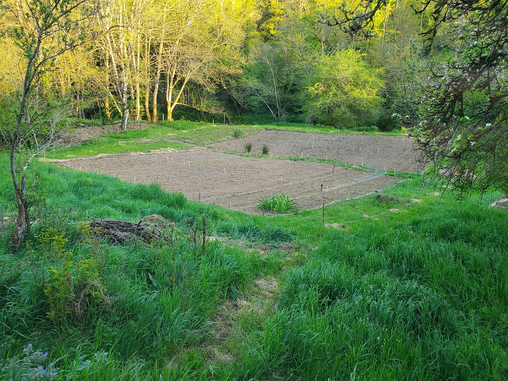 Potager : grelinette et croc