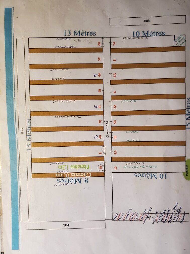 Positionnement des planches dans le potager en syntropie