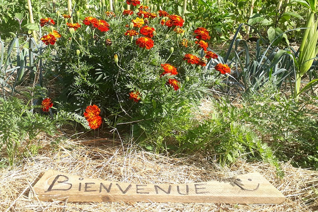 La Contré : nouvelle habitante