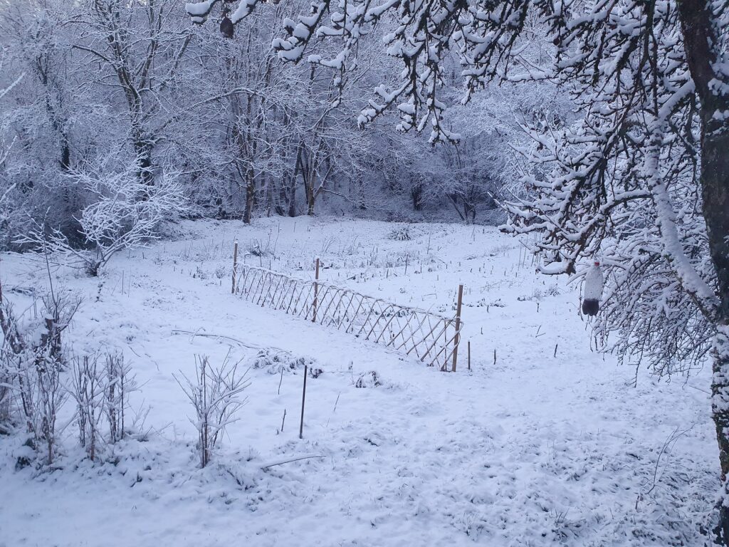 La contré sous la neige