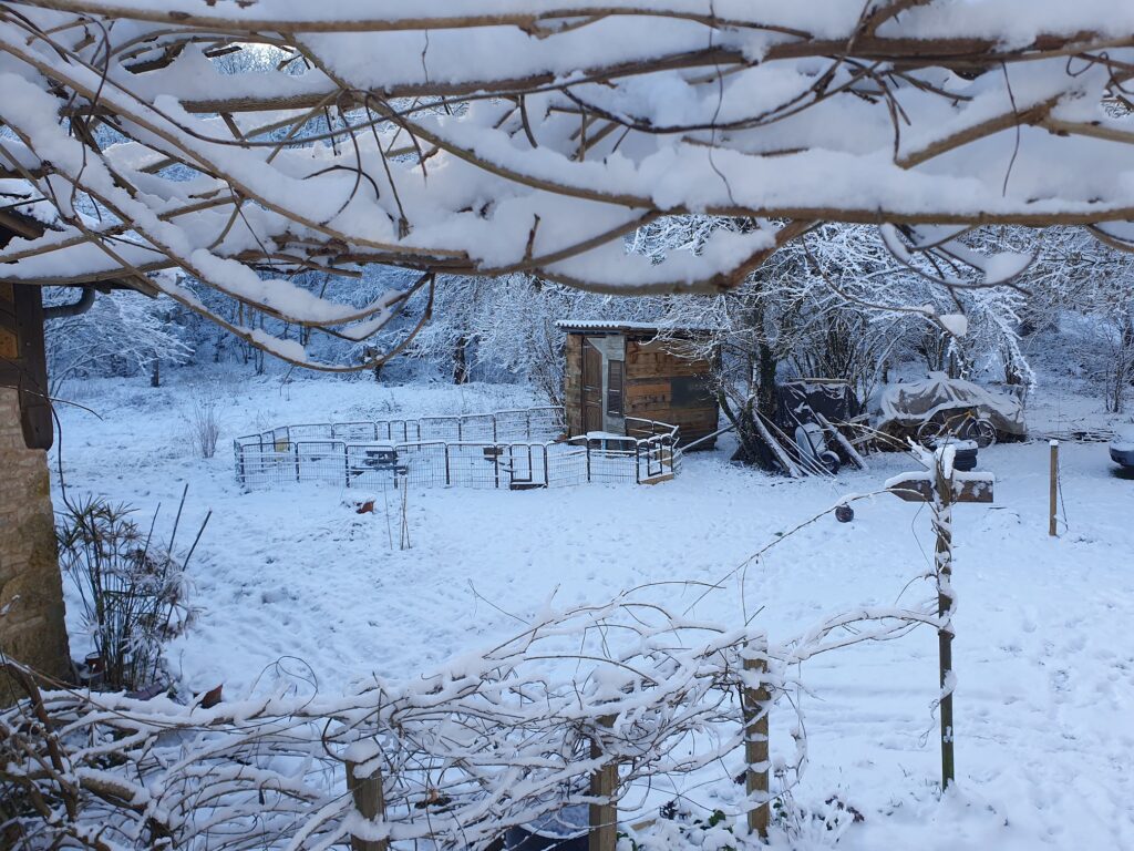 La contré sous la neige