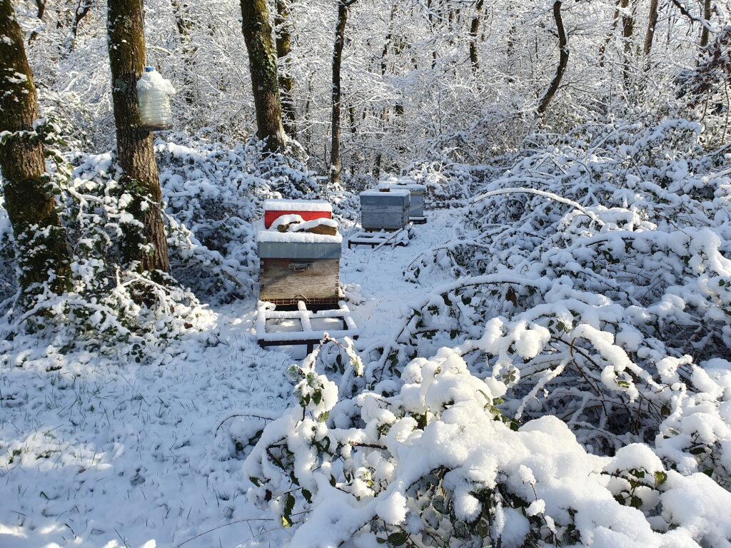 La contré sous la neige