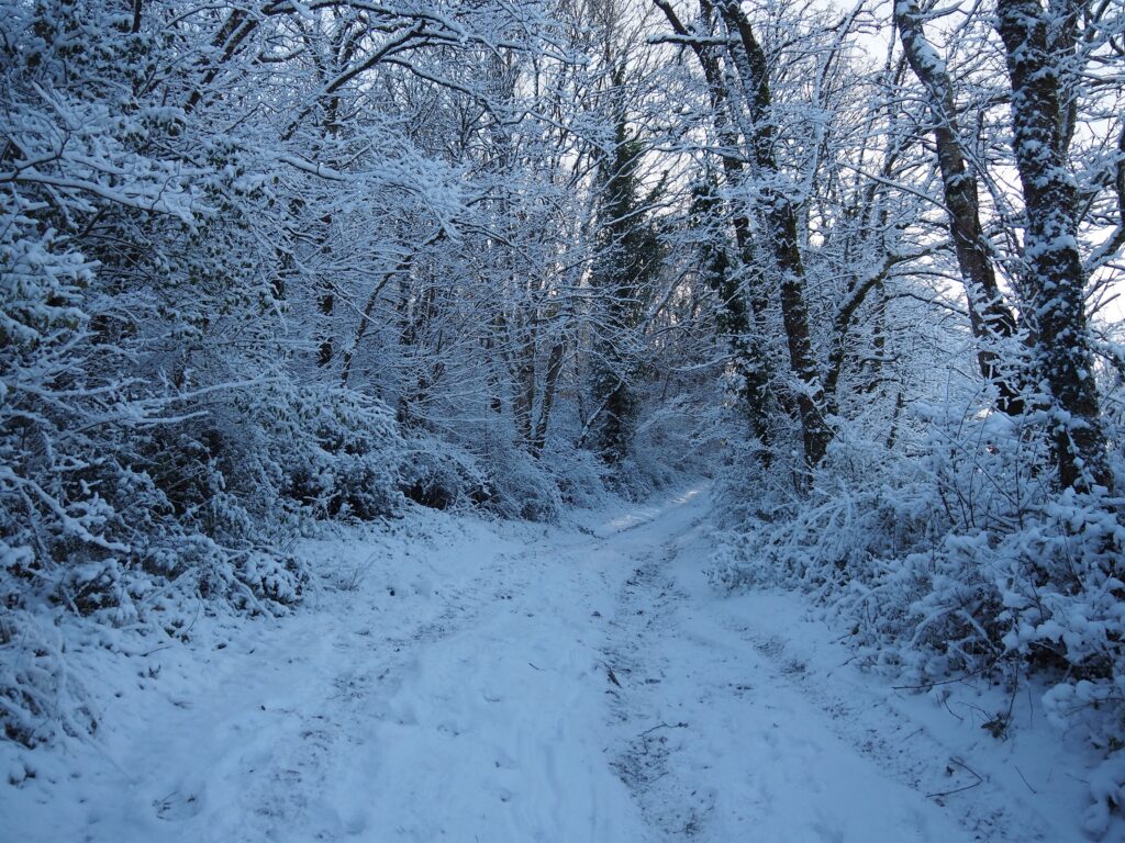 La contré sous la neige