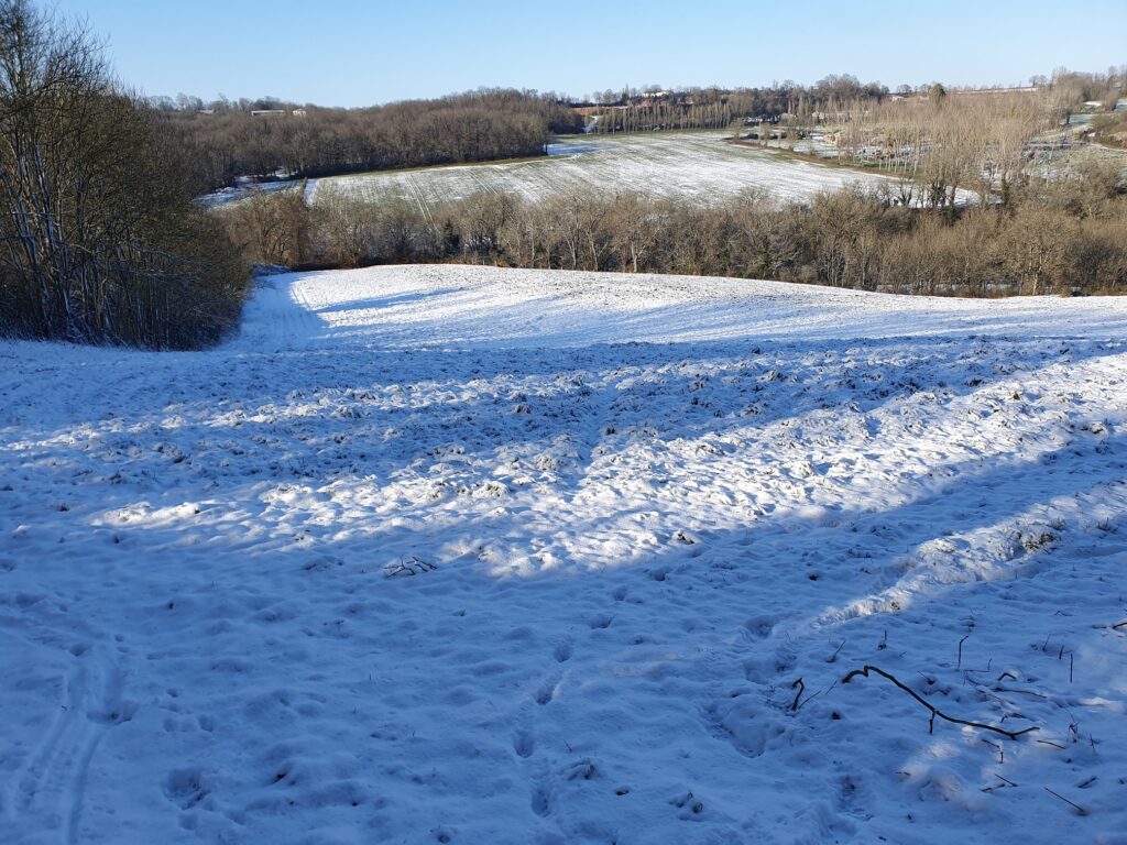 La contré sous la neige