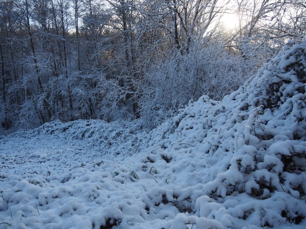 La contré sous la neige