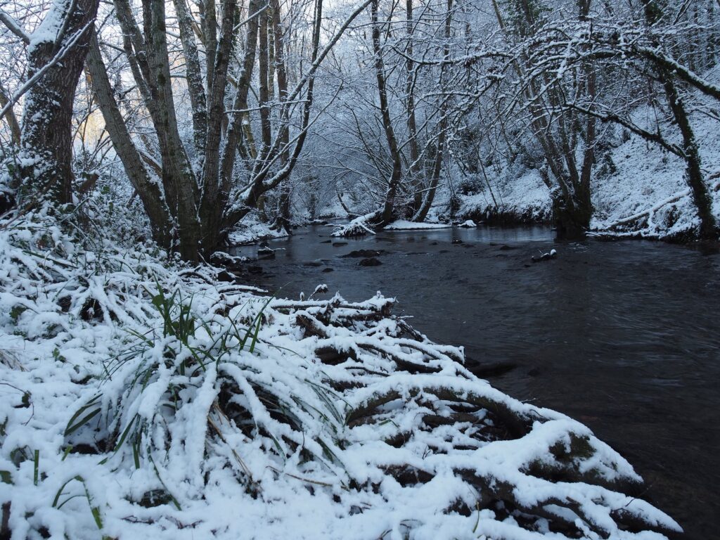 La contré sous la neige