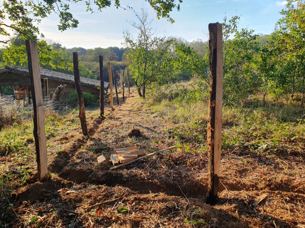 Chantier clôture : fin du jour 1