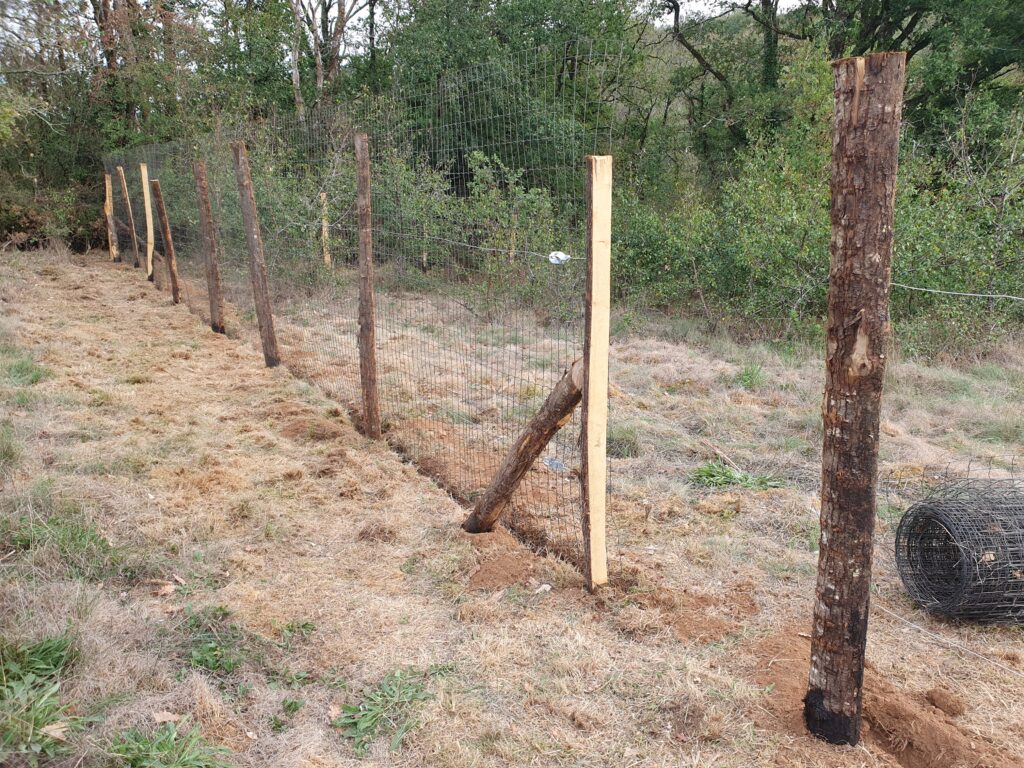 grillage terminé